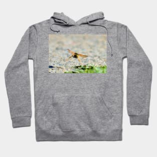 Rough Landing Hoodie